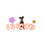 ミニピン 省スペース スタンプ3（個別スタンプ：15）