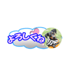 ミニピン 省スペース スタンプ3（個別スタンプ：17）