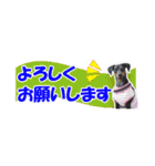 ミニピン 省スペース スタンプ3（個別スタンプ：18）