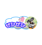 ミニピン 省スペース スタンプ3（個別スタンプ：19）