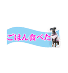 ミニピン 省スペース スタンプ3（個別スタンプ：22）