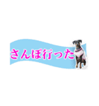 ミニピン 省スペース スタンプ3（個別スタンプ：23）