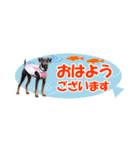 ミニピン 省スペース スタンプ3（個別スタンプ：26）