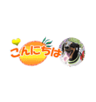 ミニピン 省スペース スタンプ3（個別スタンプ：30）