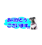 ミニピン 省スペース スタンプ3（個別スタンプ：37）