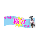 ミニピン 省スペース スタンプ3（個別スタンプ：38）
