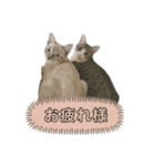 ゆずおとだらけ③（個別スタンプ：2）