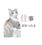 ゆずおとだらけ③（個別スタンプ：3）
