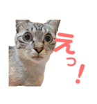 ゆずおとだらけ③（個別スタンプ：6）