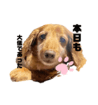 ぶぶぞぅa（個別スタンプ：9）