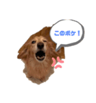ぶぶぞぅa（個別スタンプ：11）