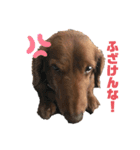 ぶぶぞぅb（個別スタンプ：6）