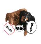 ぶぶぞぅb（個別スタンプ：9）