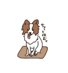 うちの犬ベストセレクション（個別スタンプ：13）