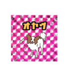 うちの犬ベストセレクション（個別スタンプ：30）