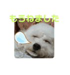 ひなたちゃん第2弾（個別スタンプ：2）