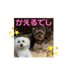 ひなたちゃん第2弾（個別スタンプ：3）