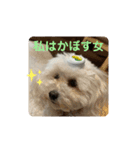 ひなたちゃん第2弾（個別スタンプ：5）