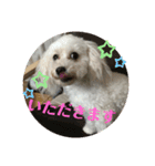 ひなたちゃん第2弾（個別スタンプ：7）