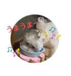 ひなたちゃん第2弾（個別スタンプ：10）