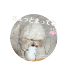 ひなたちゃん第2弾（個別スタンプ：12）