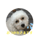 ひなたちゃん第2弾（個別スタンプ：15）