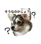 ロンじろうスタンプ（個別スタンプ：4）