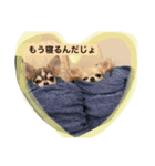 ロンじろうスタンプ（個別スタンプ：7）