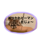 ロンじろうスタンプ（個別スタンプ：8）