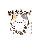 毎日便利☆小さい三毛猫※カスタム（個別スタンプ：10）