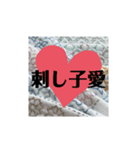刺し子好きスタンプ（個別スタンプ：6）