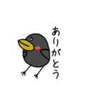 鳥の会話【日常会話】（個別スタンプ：5）