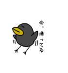鳥の会話【日常会話】（個別スタンプ：10）