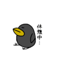 鳥の会話【日常会話】（個別スタンプ：16）