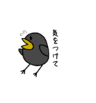 鳥の会話【日常会話】（個別スタンプ：20）