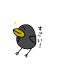 鳥の会話【日常会話】（個別スタンプ：24）