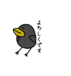 鳥の会話【日常会話】（個別スタンプ：35）