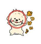 遊びたい犬(マルチーズ)（個別スタンプ：6）