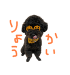 ろくおシーズン3（個別スタンプ：1）