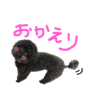 ろくおシーズン3（個別スタンプ：2）