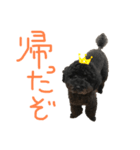ろくおシーズン3（個別スタンプ：3）