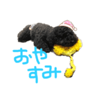 ろくおシーズン3（個別スタンプ：5）