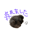ろくおシーズン3（個別スタンプ：7）