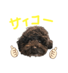 ろくおシーズン3（個別スタンプ：12）