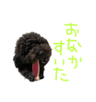 ろくおシーズン3（個別スタンプ：13）