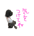 ろくおシーズン3（個別スタンプ：14）