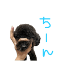 ろくおシーズン3（個別スタンプ：15）