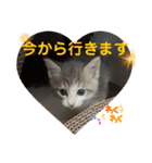 りんご屋さんのアイドル4（個別スタンプ：11）