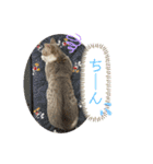 りんご屋さんのアイドル4（個別スタンプ：20）
