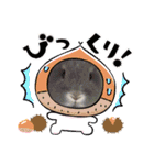うさカフェりび〜全員集合④〜（個別スタンプ：3）